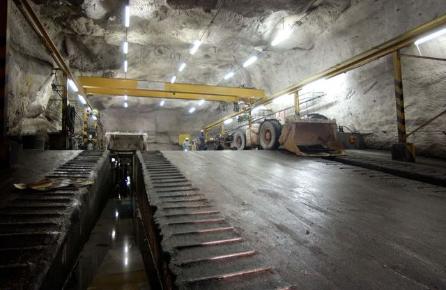 Mimosa mulls 38MW solar plant